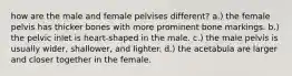 how are the male and female pelvises different? a.) the female pelvis has thicker bones with more prominent bone markings. b.) the pelvic inlet is heart-shaped in the male. c.) the male pelvis is usually wider, shallower, and lighter. d.) the acetabula are larger and closer together in the female.