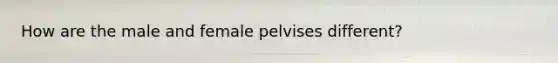 How are the male and female pelvises different?