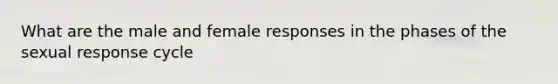 What are the male and female responses in the phases of the sexual response cycle