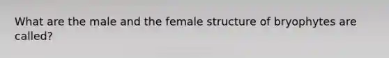 What are the male and the female structure of bryophytes are called?