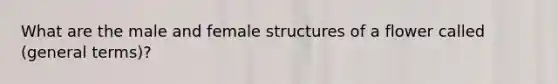 What are the male and female structures of a flower called (general terms)?