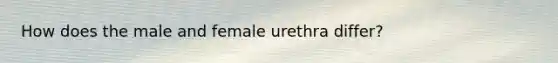 How does the male and female urethra differ?