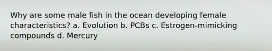 Why are some male fish in the ocean developing female characteristics? a. Evolution b. PCBs c. Estrogen-mimicking compounds d. Mercury