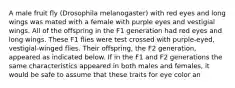 A male fruit fly (Drosophila melanogaster) with red eyes and long wings was mated with a female with purple eyes and vestigial wings. All of the offspring in the F1 generation had red eyes and long wings. These F1 flies were test crossed with purple-eyed, vestigial-winged flies. Their offspring, the F2 generation, appeared as indicated below. If in the F1 and F2 generations the same characteristics appeared in both males and females, it would be safe to assume that these traits for eye color an