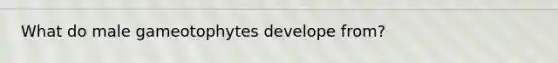 What do male gameotophytes develope from?