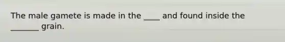 The male gamete is made in the ____ and found inside the _______ grain.