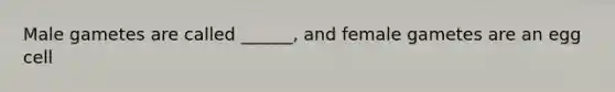 Male gametes are called ______, and female gametes are an egg cell