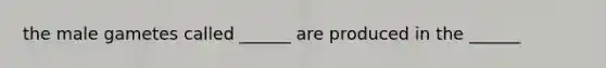 the male gametes called ______ are produced in the ______