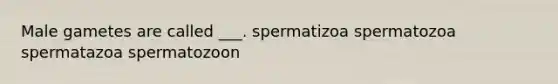 Male gametes are called ___. spermatizoa spermatozoa spermatazoa spermatozoon