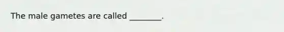 The male gametes are called ________.