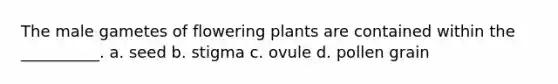 The male gametes of flowering plants are contained within the __________. a. seed b. stigma c. ovule d. pollen grain