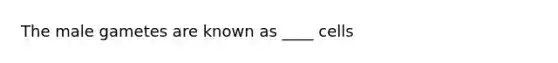 The male gametes are known as ____ cells