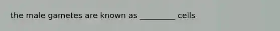 the male gametes are known as _________ cells
