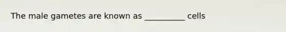 The male gametes are known as __________ cells