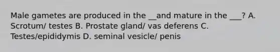 Male gametes are produced in the __and mature in the ___? A. Scrotum/ testes B. Prostate gland/ vas deferens C. Testes/epididymis D. seminal vesicle/ penis