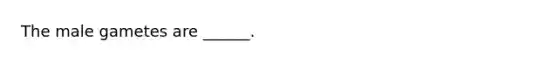 The male gametes are ______.