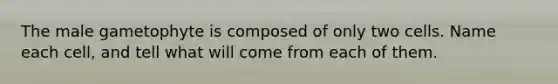 The male gametophyte is composed of only two cells. Name each cell, and tell what will come from each of them.