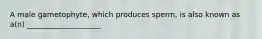 A male gametophyte, which produces sperm, is also known as a(n) ____________________