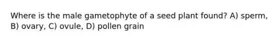 Where is the male gametophyte of a seed plant found? A) sperm, B) ovary, C) ovule, D) pollen grain