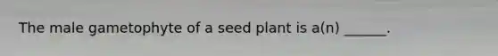 The male gametophyte of a seed plant is a(n) ______.