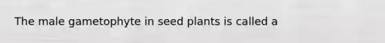 The male gametophyte in seed plants is called a