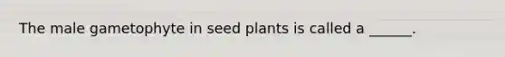 The male gametophyte in seed plants is called a ______.