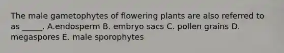 The male gametophytes of flowering plants are also referred to as _____. A.endosperm B. embryo sacs C. pollen grains D. megaspores E. male sporophytes