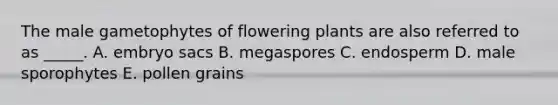 The male gametophytes of flowering plants are also referred to as _____. A. embryo sacs B. megaspores C. endosperm D. male sporophytes E. pollen grains