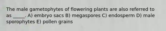 The male gametophytes of flowering plants are also referred to as _____. A) embryo sacs B) megaspores C) endosperm D) male sporophytes E) pollen grains