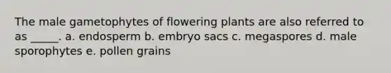 The male gametophytes of flowering plants are also referred to as _____. a. endosperm b. embryo sacs c. megaspores d. male sporophytes e. pollen grains