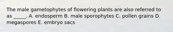 The male gametophytes of flowering plants are also referred to as _____. A. endosperm B. male sporophytes C. pollen grains D. megaspores E. embryo sacs