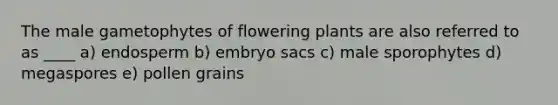 The male gametophytes of flowering plants are also referred to as ____ a) endosperm b) embryo sacs c) male sporophytes d) megaspores e) pollen grains