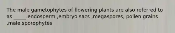 The male gametophytes of flowering plants are also referred to as _____.endosperm ,embryo sacs ,megaspores, pollen grains ,male sporophytes