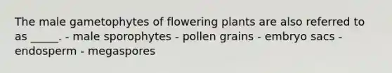 The male gametophytes of flowering plants are also referred to as _____. - male sporophytes - pollen grains - embryo sacs - endosperm - megaspores