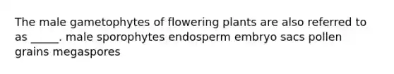 The male gametophytes of flowering plants are also referred to as _____. male sporophytes endosperm embryo sacs pollen grains megaspores