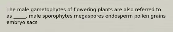 The male gametophytes of flowering plants are also referred to as _____. male sporophytes megaspores endosperm pollen grains embryo sacs