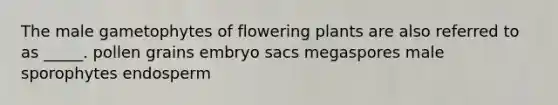 The male gametophytes of flowering plants are also referred to as _____. pollen grains embryo sacs megaspores male sporophytes endosperm