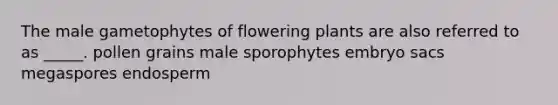 The male gametophytes of flowering plants are also referred to as _____. pollen grains male sporophytes embryo sacs megaspores endosperm