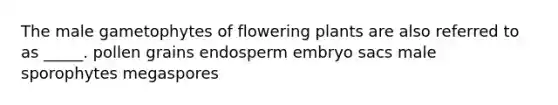 The male gametophytes of flowering plants are also referred to as _____. pollen grains endosperm embryo sacs male sporophytes megaspores