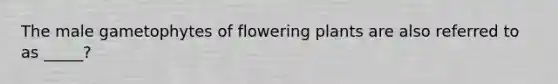 The male gametophytes of flowering plants are also referred to as _____?