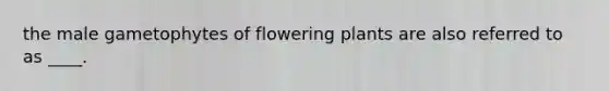 the male gametophytes of flowering plants are also referred to as ____.