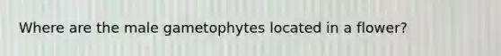 Where are the male gametophytes located in a flower?