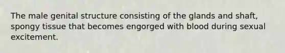 The male genital structure consisting of the glands and shaft, spongy tissue that becomes engorged with blood during sexual excitement.