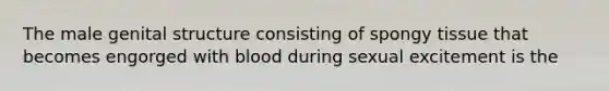 The male genital structure consisting of spongy tissue that becomes engorged with blood during sexual excitement is the