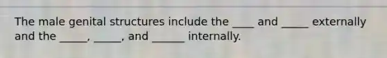 The male genital structures include the ____ and _____ externally and the _____, _____, and ______ internally.