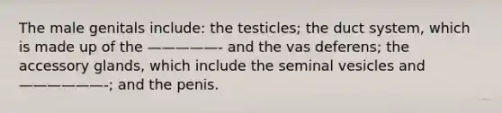 The male genitals include: the testicles; the duct system, which is made up of the —————- and the vas deferens; the accessory glands, which include the seminal vesicles and ——————-; and the penis.