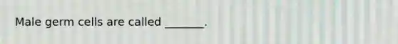 Male germ cells are called _______.