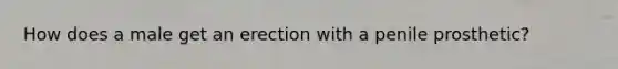 How does a male get an erection with a penile prosthetic?