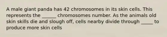 A male giant panda has 42 chromosomes in its skin cells. This represents the ______ chromosomes number. As the animals old skin skills die and slough off, cells nearby divide through _____ to produce more skin cells