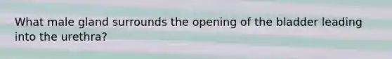 What male gland surrounds the opening of the bladder leading into the urethra?